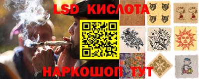 ECSTASY Гусев