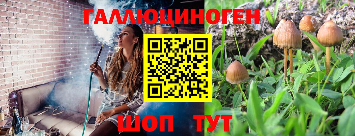 Нижнекамск  Псилоцибиновые грибы Cubensis  Галлюциногенные грибы Psilocybine cubensis  Вход с VPN 
